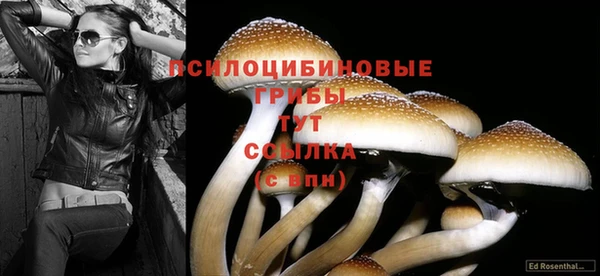 альфа пвп VHQ Белокуриха